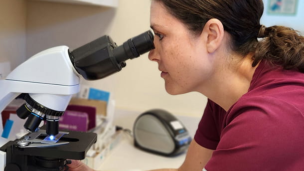 Veterinarian looking into a microscope