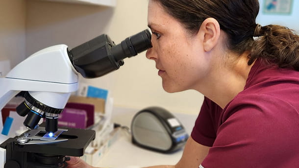 Veterinary staff looking into a microscope