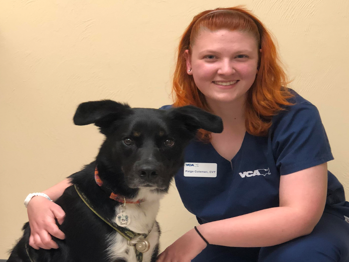 Paige | VCA Wickaboag Animal Hospital