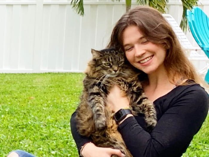 vca wiles animal hospital