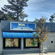 vca winchester animal hospital