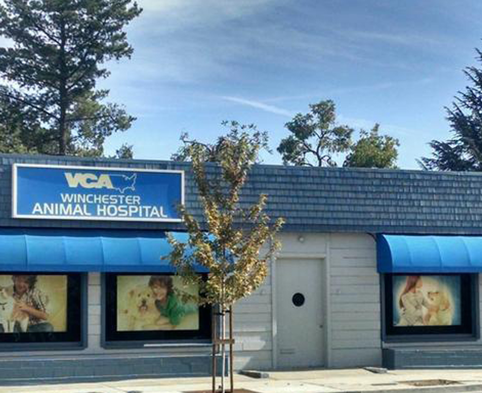 Hospital Picture of  VCA Winchester Animal Hospital