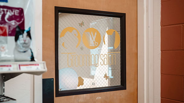 Pet salon at VCA Winchester Animal Hospital