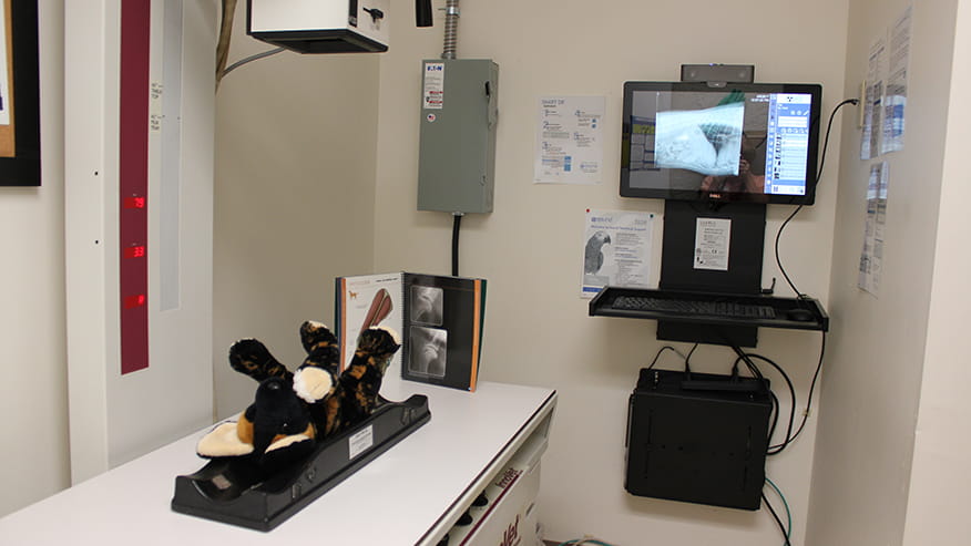 Radiology in Broken Arrow, OK | VCA Woodland Broken Arrow ...