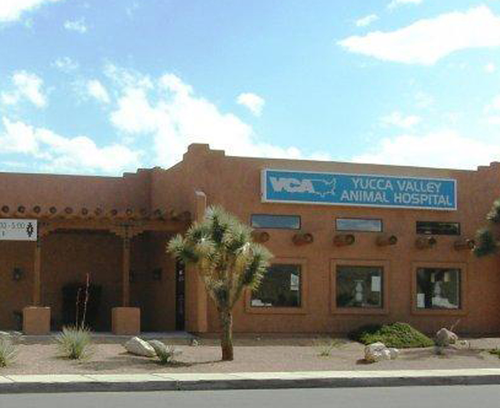 Hospital Picture of  VCA Yucca Valley Animal Hospital