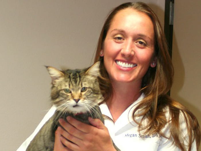 Yucca Valley Vets At Vca Yucca Valley Animal Hospital