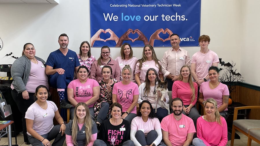 VCA hospital team wearing pink to support Breast Cancer Awareness month
